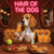 Hair of the Dog Beagle 002 Ruff & Ready Funny Canine Art neon lights, bacon-woven flair, and egg murals