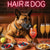 Hair of the Dog Belgian Malinois 004 Ruff & Ready Funny Canine Art neon lights, bacon-woven flair, and egg murals