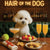Hair of the Dog Bichon Frise 008 Ruff & Ready Funny Canine Art neon lights, bacon-woven flair, and egg murals