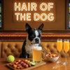 Hair of the Dog Boston Terrier 011 Ruff & Ready Funny Canine Art neon lights, bacon-woven flair, and egg murals