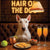 Hair of the Dog Bull Terrier 003 Ruff & Ready Funny Canine Art neon lights, bacon-woven flair, and egg murals