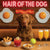 Hair of the Dog Chesapeake Bay Retriever 004 Ruff & Ready Funny Canine Art neon lights, bacon-woven flair, and egg murals