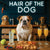 Hair of the Dog English Bulldog 013 Ruff & Ready Funny Canine Art neon lights, bacon-woven flair, and egg murals
