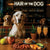 Hair of the Dog English Setter 001 Ruff & Ready Funny Canine Art neon lights, bacon-woven flair, and egg murals