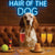 Hair of the Dog English Setter 002 Ruff & Ready Funny Canine Art neon lights, bacon-woven flair, and egg murals