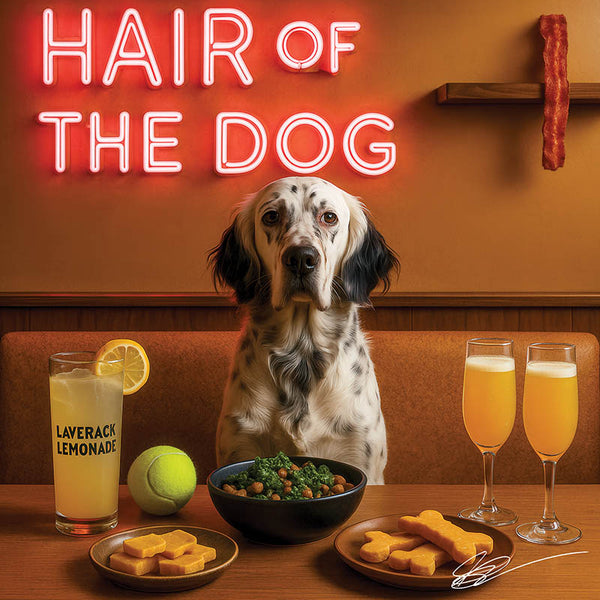 english setter sitting at a bar with drinks and food, neon sign reading 'Hair of the Dog' in the background.