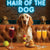 Hair of the Dog English Setter 009 Ruff & Ready Funny Canine Art neon lights, bacon-woven flair, and egg murals
