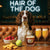 Hair of the Dog English Springer Spaniel 010 Ruff & Ready Funny Canine Art neon lights, bacon-woven flair, and egg murals