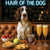 Hair of the Dog English Springer Spaniel 014 Ruff & Ready Funny Canine Art neon lights, bacon-woven flair, and egg murals
