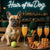 Hair of the Dog French Bulldog 016 Ruff & Ready Funny Canine Art neon lights, bacon-woven flair, and egg murals
