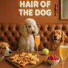 Hair of the Dog French Poodle 007 Ruff & Ready Funny Canine Art neon lights, bacon-woven flair, and egg murals