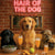 Hair of the Dog Golden Retriever 004 Ruff & Ready Funny Canine Art neon lights, bacon-woven flair, and egg murals