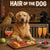 Hair of the Dog Golden Retriever 012 Ruff & Ready Funny Canine Art neon lights, bacon-woven flair, and egg murals