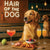 Hair of the Dog Golden Retriever 013 Ruff & Ready Funny Canine Art neon lights, bacon-woven flair, and egg murals