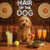 Hair of the Dog Goldendoodle 010 Ruff & Ready Funny Canine Art neon lights, bacon-woven flair, and egg murals
