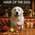 Hair of the Dog Great Pyrenees 011 Ruff & Ready Funny Canine Art neon lights, bacon-woven flair, and egg murals
