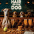 Hair of the Dog Greyhound 004 Ruff & Ready Funny Canine Art neon lights, bacon-woven flair, and egg murals