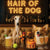 Hair of the Dog Greyhound 006 Ruff & Ready Funny Canine Art neon lights, bacon-woven flair, and egg murals