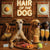 Hair of the Dog Greyhound 014 Ruff & Ready Funny Canine Art neon lights, bacon-woven flair, and egg murals
