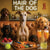 Hair of the Dog Greyhound 015 Ruff & Ready Funny Canine Art neon lights, bacon-woven flair, and egg murals