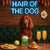 Hair of the Dog Irish Setter 012 Ruff & Ready Funny Canine Art neon lights, bacon-woven flair, and egg murals