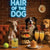 Hair of the Dog Italian Greyhound 004 Ruff & Ready Funny Canine Art neon lights, bacon-woven flair, and egg murals