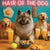 Hair of the Dog Keeshond 011 Ruff & Ready Funny Canine Art neon lights, bacon-woven flair, and egg murals