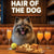 Hair of the Dog Keeshond 012 Ruff & Ready Funny Canine Art neon lights, bacon-woven flair, and egg murals