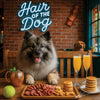 Hair of the Dog Keeshond 015 Ruff & Ready Funny Canine Art neon lights, bacon-woven flair, and egg murals