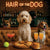 Hair of the Dog Labradoodle 001 Ruff & Ready Funny Canine Art neon lights, bacon-woven flair, and egg murals