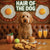 Hair of the Dog Labradoodle 005 Ruff & Ready Funny Canine Art neon lights, bacon-woven flair, and egg murals