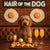 Hair of the Dog Labradoodle 008 Ruff & Ready Funny Canine Art neon lights, bacon-woven flair, and egg murals