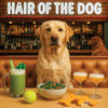 Hair of the Dog Labrador Retriever 006 Ruff & Ready Funny Canine Art neon lights, bacon-woven flair, and egg murals