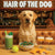 Hair of the Dog Labrador Retriever 006 Ruff & Ready Funny Canine Art neon lights, bacon-woven flair, and egg murals