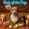 Hair of the Dog Lagotto Romagnol 005 Ruff & Ready Funny Canine Art neon lights, bacon-woven flair, and egg murals