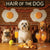 Hair of the Dog Lhasa Apso 003 Ruff & Ready Funny Canine Art neon lights, bacon-woven flair, and egg murals