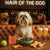 Hair of the Dog Lhasa Apso 007 Ruff & Ready Funny Canine Art neon lights, bacon-woven flair, and egg murals