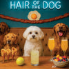 Hair of the Dog Maltese 006 Ruff & Ready Funny Canine Art neon lights, bacon-woven flair, and egg murals