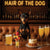 Hair of the Dog Miniature Pinscher 014 Ruff & Ready Funny Canine Art neon lights, bacon-woven flair, and egg murals