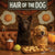 Hair of the Dog Mudi 010 Ruff & Ready Funny Canine Art neon lights, bacon-woven flair, and egg murals