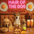 Sunrise Snout shines with Norwegian Lundehund 001 under neon lights, bacon-woven flair, and egg murals. Ruff, ready, ridiculously fun dog art on metal!
