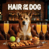 Norwegian Lundehund 007 sitting at a bar with drinks and treats, with 'Hair of the Dog' text above.
