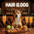 Norwegian Lundehund 007 sitting at a bar with drinks and treats, with 'Hair of the Dog' text above.
