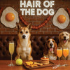 Norwegian Lundehund 009 sitting at a bar with drinks and food, with 'Hair of the Dog' text above.