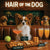Hair of the Dog Papillon 006 Ruff & Ready Funny Canine Art neon lights, bacon-woven flair, and egg murals