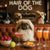 Hair of the Dog Pekingese 021 Ruff & Ready Funny Canine Art neon lights, bacon-woven flair, and egg murals