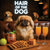 Hair of the Dog Pekingese 024 Ruff & Ready Funny Canine Art neon lights, bacon-woven flair, and egg murals