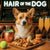 Hair of the Dog Pembroke Welsh Corgi 003 Ruff & Ready Funny Canine Art neon lights, bacon-woven flair, and egg murals