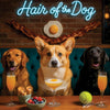 Hair of the Dog Pembroke Welsh Corgi 010 Ruff & Ready Funny Canine Art neon lights, bacon-woven flair, and egg murals