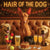 Hair of the Dog Pharaoh Hound 013 Ruff & Ready Funny Canine Art neon lights, bacon-woven flair, and egg murals